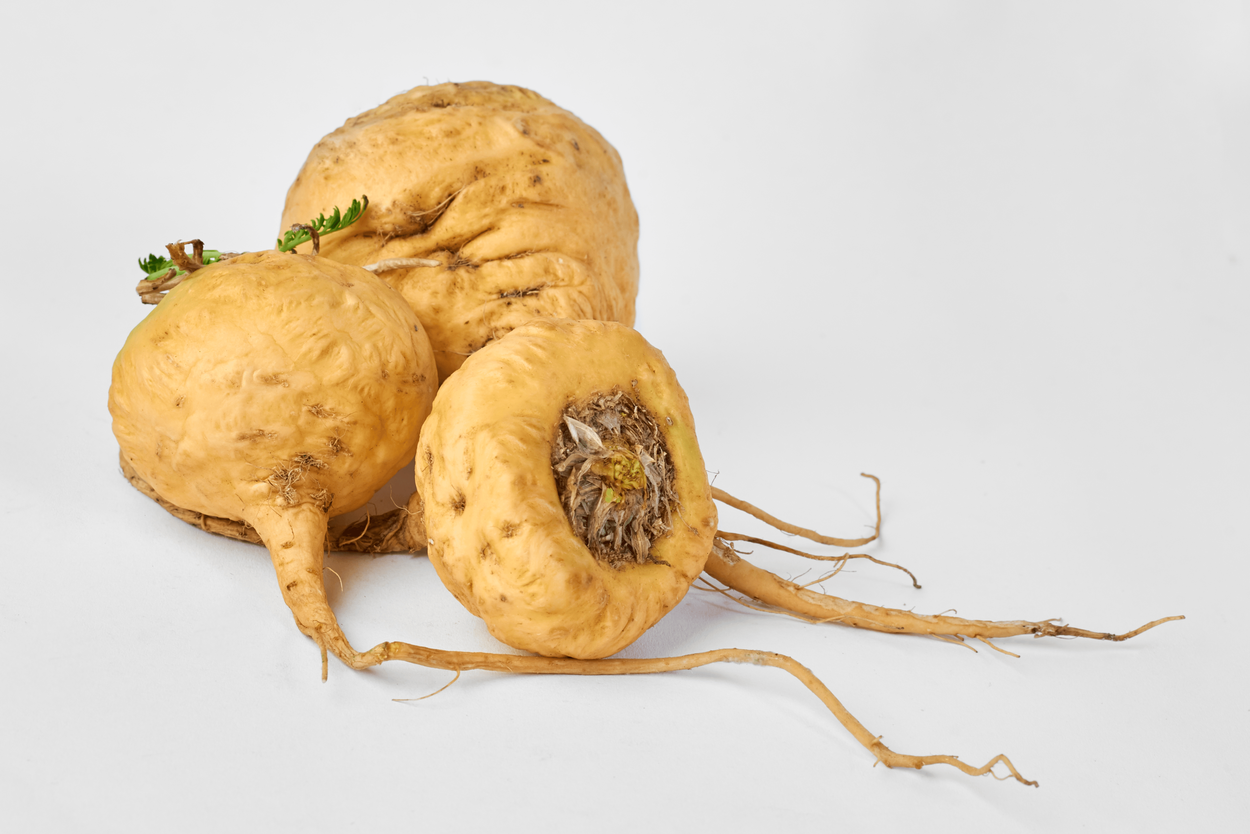 ingredient