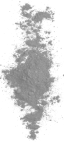 ingredient powder
